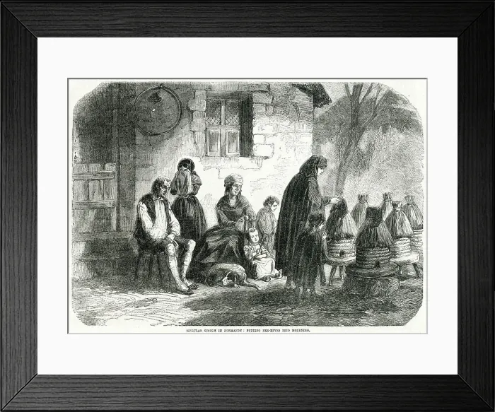 Framed Print : Putting bee-hives into mourning 1856 Framed Print : Putting bee-hives into mourning 1856