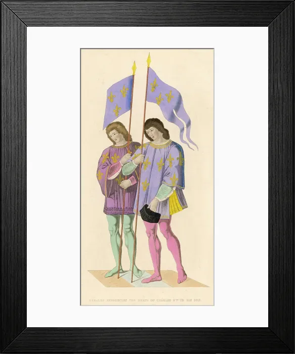 Framed Print : FRENCH HERALDS C15 Framed Print : FRENCH HERALDS C15