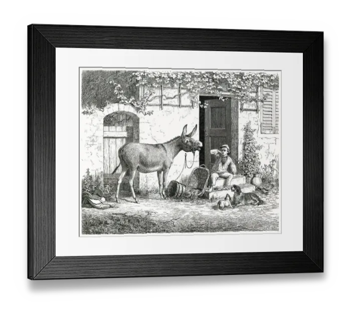 Framed Print : When a donkey brays, humans clap their hands to their ears and even dogs look up in surprise Date: 1863 Framed Print : When a donkey brays, humans clap their hands to their ears and even dogs look up in surprise Date: 1863