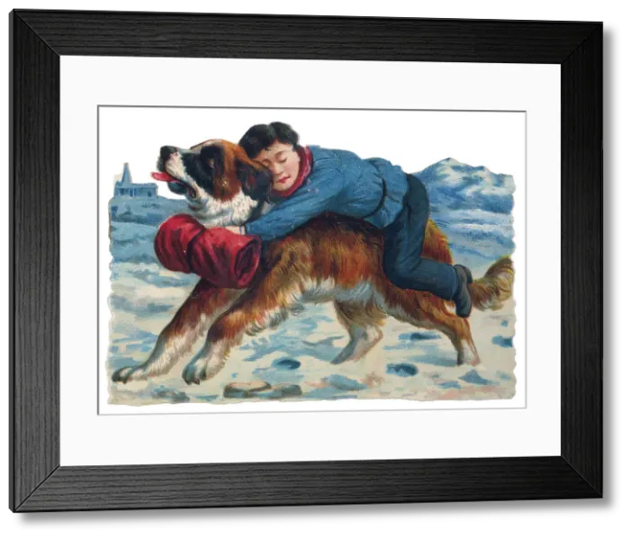 Framed Print : ST BERNARD RESCUES BOY Framed Print : ST BERNARD RESCUES BOY