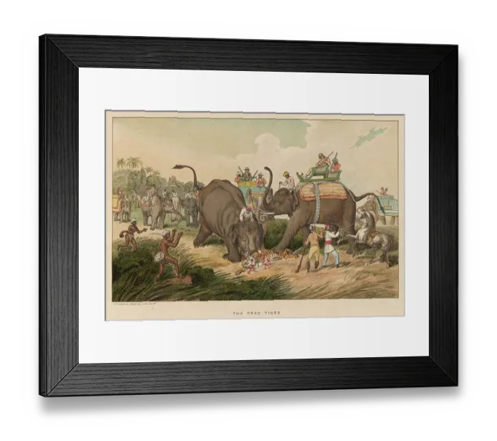 Framed Print : WILLIAMSON / DEAD TIGER Framed Print : WILLIAMSON / DEAD TIGER
