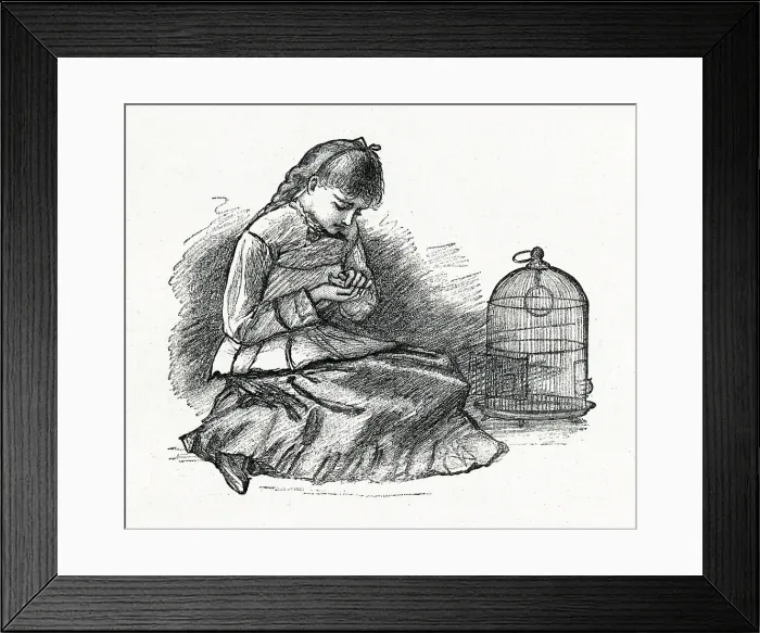 Framed Print : LITTLE WOMEN / DEAD CANARY Framed Print : LITTLE WOMEN / DEAD CANARY