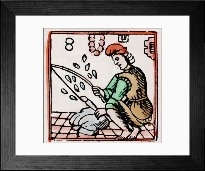 Framed Print : C17 FEATHER PLUCKER Framed Print : C17 FEATHER PLUCKER