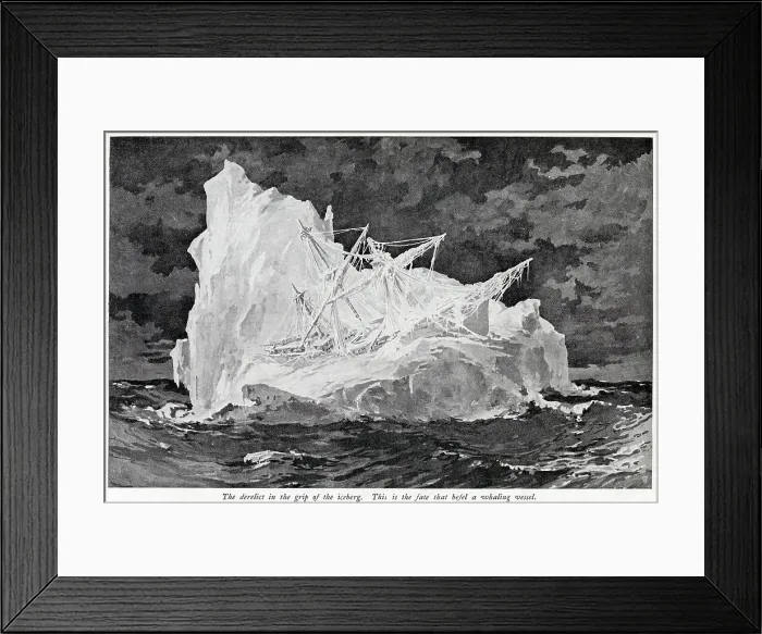 Framed Print : The derelict of a whaling ship is caught up by an iceberg Date: 1905 Framed Print : The derelict of a whaling ship is caught up by an iceberg Date: 1905