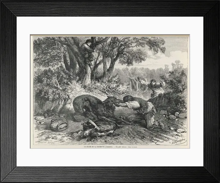 Framed Print : RABIES / BITTEN / LIS / 1874 Framed Print : RABIES / BITTEN / LIS / 1874