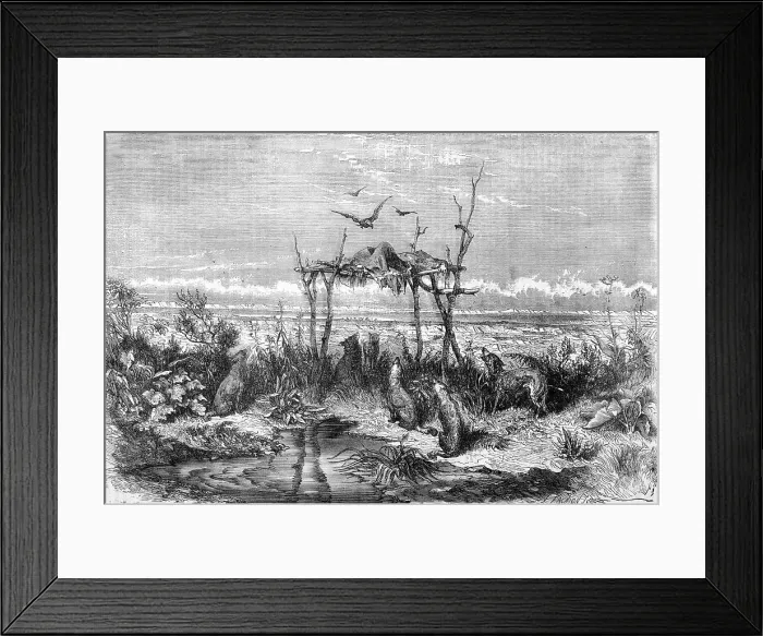 Framed Print : EXPOSED CORPSE Framed Print : EXPOSED CORPSE