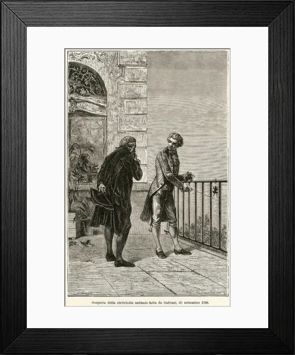 Framed Print : GALVANI AND FROG Framed Print : GALVANI AND FROG