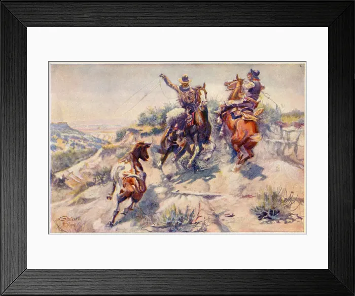 Framed Print : Rounding-up cattle - a mad cow Date: 1908 Framed Print : Rounding-up cattle - a mad cow Date: 1908