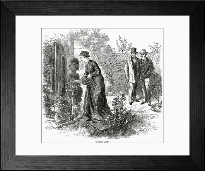 Framed Print : Two men watch with interest as a lady picks roses Date: 1872 Framed Print : Two men watch with interest as a lady picks roses Date: 1872
