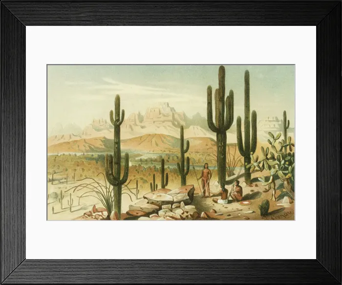 Framed Print : DESERT SCENERY / UTAH / USA Framed Print : DESERT SCENERY / UTAH / USA