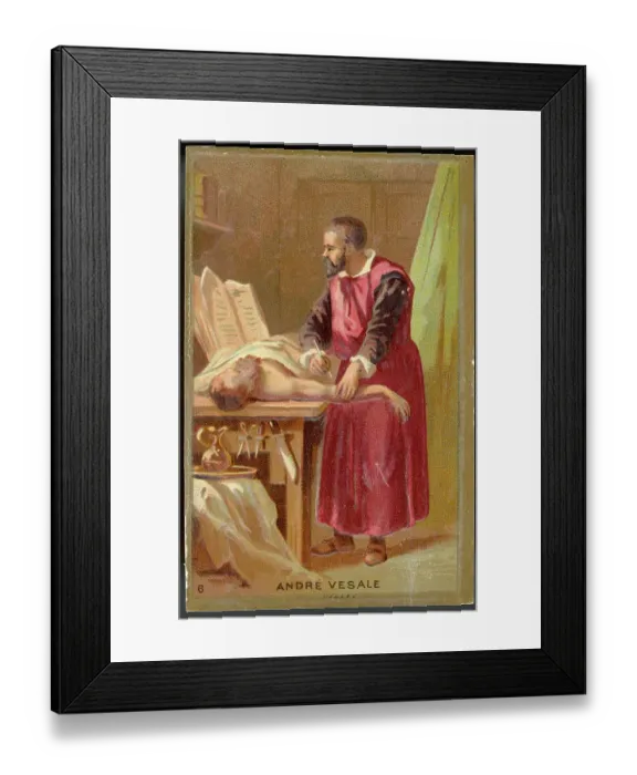 Framed Print : VESALIUS / TRADE CARD Framed Print : VESALIUS / TRADE CARD