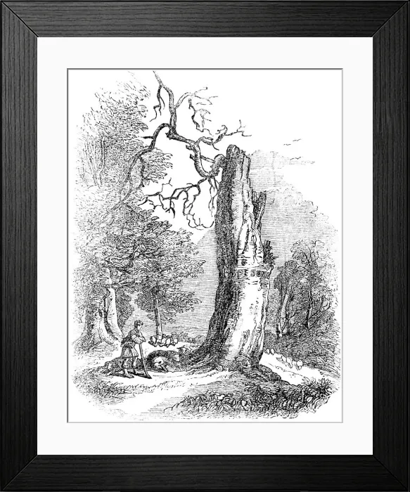 Framed Print : ALEXANDER POPE / BINFIELD