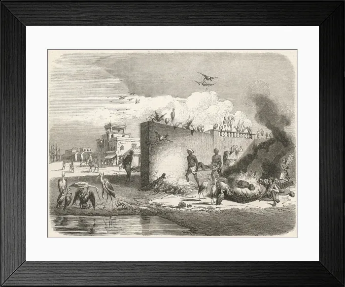 Framed Print : Cremation Calcutta Death Regional India 1859 Framed Print : Cremation Calcutta Death Regional India 1859