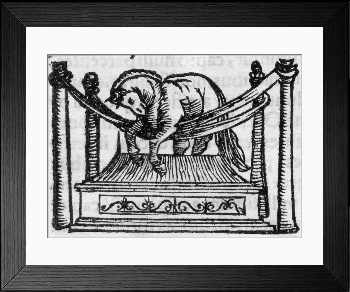 Framed Print : TARTAR BURIED W. HORSE Framed Print : TARTAR BURIED W. HORSE