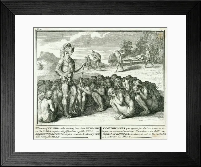 Framed Print : FLORIDA WIDOWS ASK AID Framed Print : FLORIDA WIDOWS ASK AID