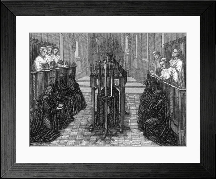 Framed Print : WATCHING THE DEAD C15 Framed Print : WATCHING THE DEAD C15