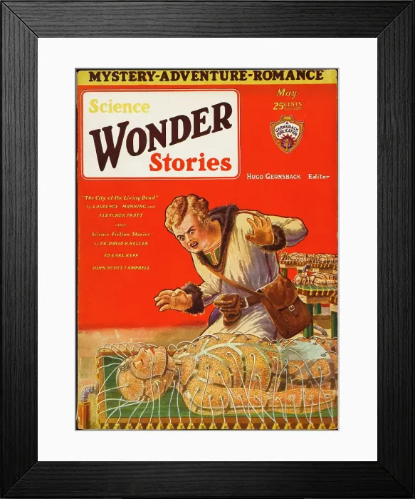 Framed Print : ADVENTURE MACHINES Framed Print : ADVENTURE MACHINES