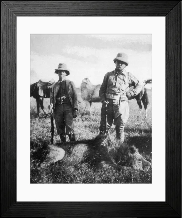Framed Print : T ROOSEVELT / LION 1910 Framed Print : T ROOSEVELT / LION 1910