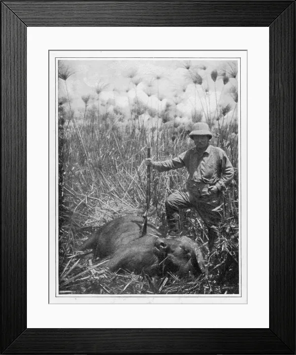Framed Print : T ROOSEVELT / BUFFALO 1910 Framed Print : T ROOSEVELT / BUFFALO 1910