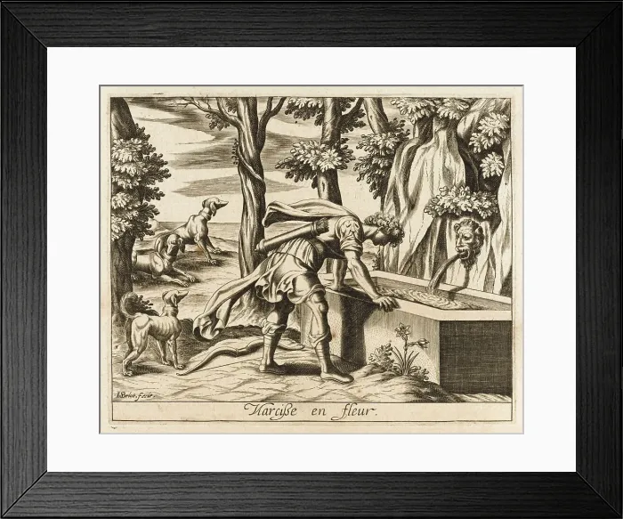 Framed Print : NARCISSUS INTO FLOWER Framed Print : NARCISSUS INTO FLOWER