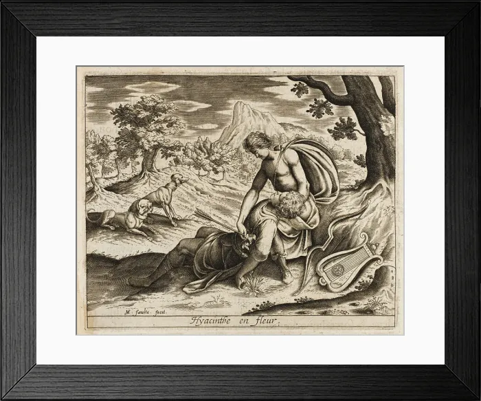 Framed Print : HYACINTH FATAL ACCIDENT Framed Print : HYACINTH FATAL ACCIDENT