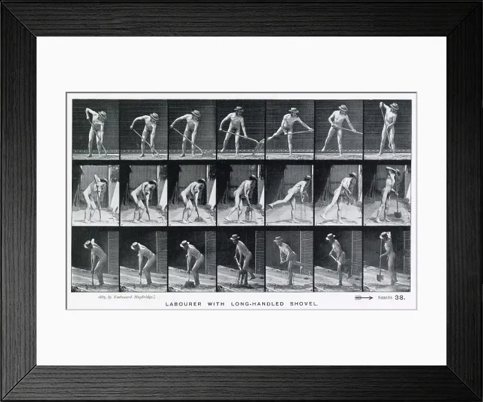 Framed Print : Muybridge - Shovel Framed Print : Muybridge - Shovel
