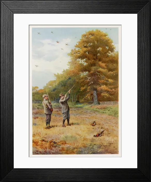 Framed Print : EDWARD VII / PHEASANT Framed Print : EDWARD VII / PHEASANT