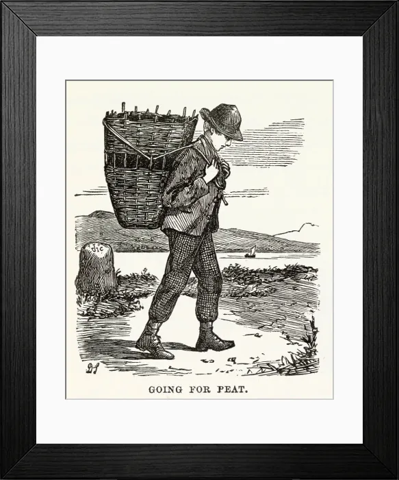 Framed Print : Man gathering peat, to keep the home fires burning through the winter. Date: 1890s Framed Print : Man gathering peat, to keep the home fires burning through the winter. Date: 1890s