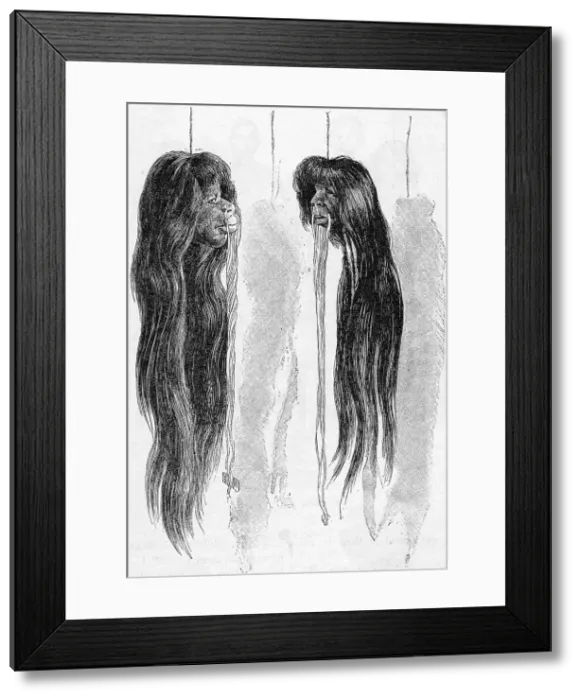 Framed Print : SHRUNKEN HEADS Framed Print : SHRUNKEN HEADS
