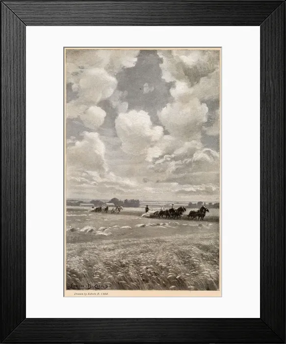 Framed Print : Reaping with horse-teams - It was the Middle West in its glory ! Date: 1904 Framed Print : Reaping with horse-teams - It was the Middle West in its glory ! Date: 1904