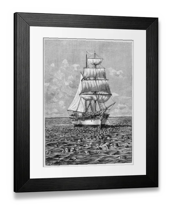Framed Print : KRAKATOA / CORPSES 1883 Framed Print : KRAKATOA / CORPSES 1883