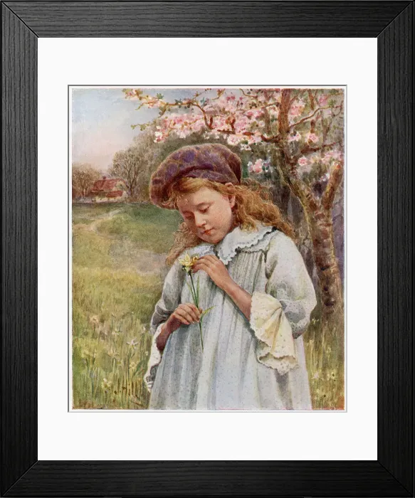 Framed Print : The first daffodil of spring'. Date: 1910 Framed Print : The first daffodil of spring'. Date: 1910