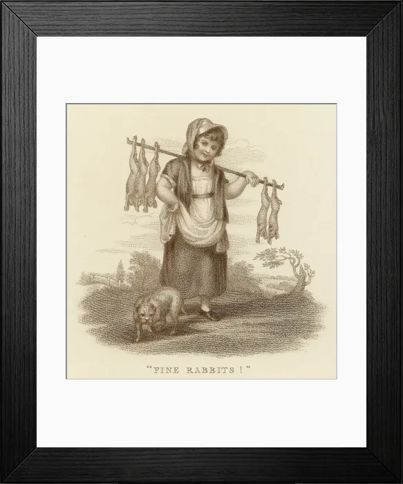Framed Print : FINE RABBITS FOR SALE Framed Print : FINE RABBITS FOR SALE