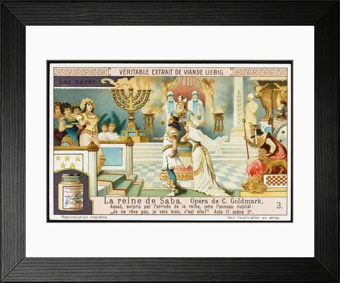 Framed Print : GOLDMARK / SABA LIEBIG 3 Framed Print : GOLDMARK / SABA LIEBIG 3
