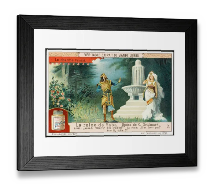 Framed Print : GOLDMARK / SABA LIEBIG 2 Framed Print : GOLDMARK / SABA LIEBIG 2