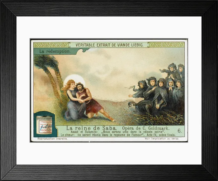 Framed Print : GOLDMARK / SABA LIEBIG 6 Framed Print : GOLDMARK / SABA LIEBIG 6