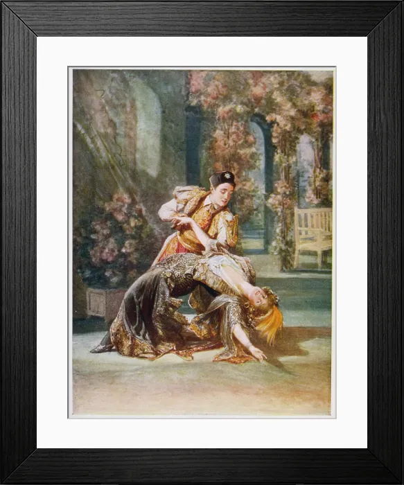 Framed Print : LEHAR / MERRY WIDOW 4 Framed Print : LEHAR / MERRY WIDOW 4