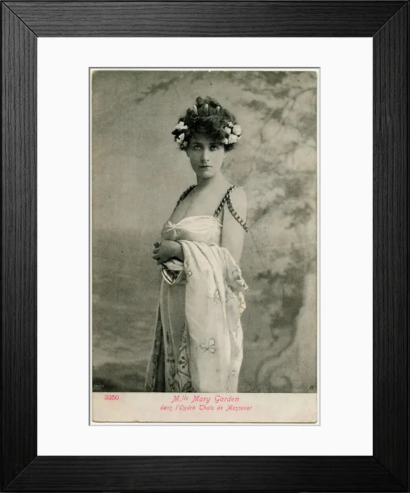 Framed Print : Mary Garden Framed Print : Mary Garden