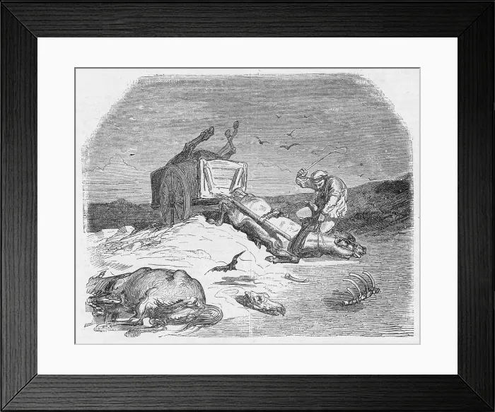 Framed Print : FLOGGING NEAR-DEAD HORSE Framed Print : FLOGGING NEAR-DEAD HORSE