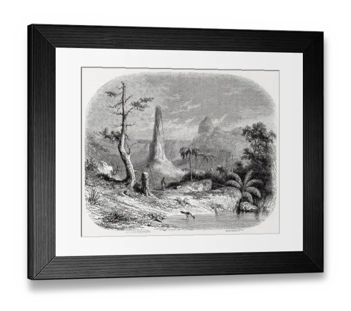 Framed Print : Sao Tome & Principe, a West African island republic: typical landscape Date: 1853 Framed Print : Sao Tome & Principe, a West African island republic: typical landscape Date: 1853