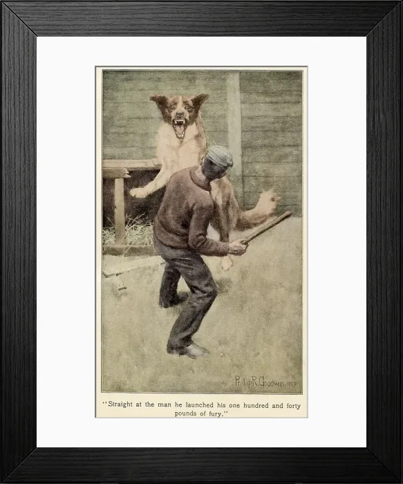Framed Print : Buck being attacked: & Buck was truly a red-eyed devil, as he drew himself together for the spring, hair bristling, mouth foaming, a mad glitter in his blood-shot eyes. Date: First published: 1903 Framed Print : Buck being attacked: & Buck was truly a red-eyed devil, as he drew himself together for the spring, hair bristling, mouth foaming, a mad glitter in his blood-shot eyes. Date: First published: 1903