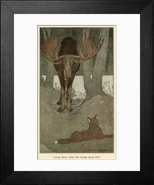 Framed Print : Buck's encounter with a moose. Date: First published: 1903 Framed Print : Buck's encounter with a moose. Date: First published: 1903