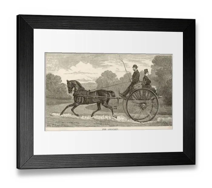 Framed Print : DOG-CART. The backward facing seat has a box beneath it where you may put your dog Framed Print : DOG-CART. The backward facing seat has a box beneath it where you may put your dog
