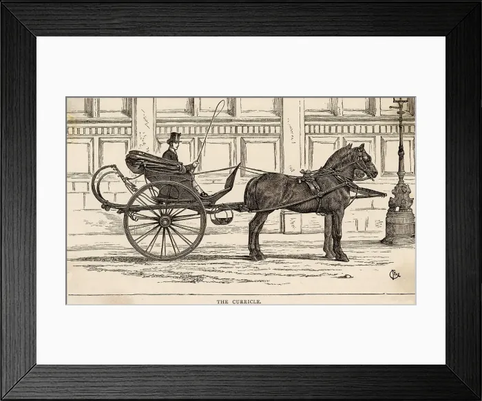 Framed Print : CURRICLE 1872 Framed Print : CURRICLE 1872