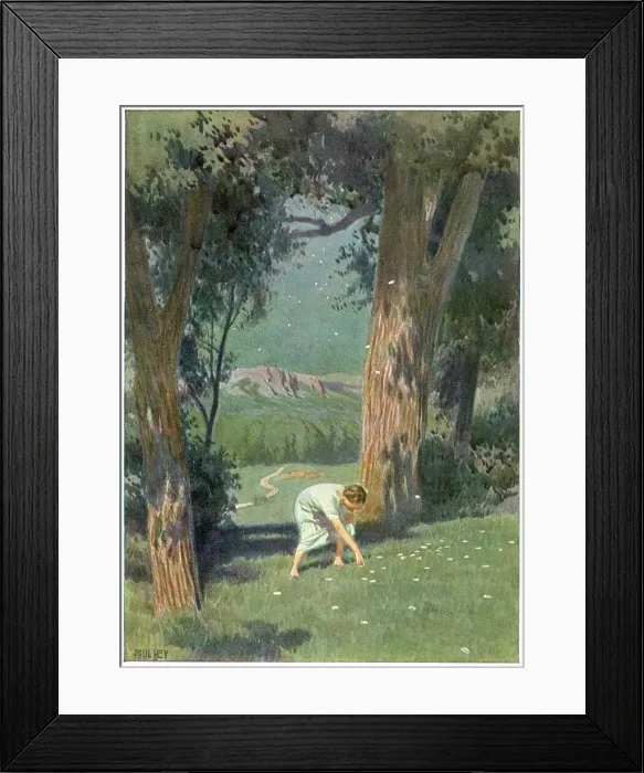 Framed Print : THE STAR MONEY - 3 Framed Print : THE STAR MONEY - 3