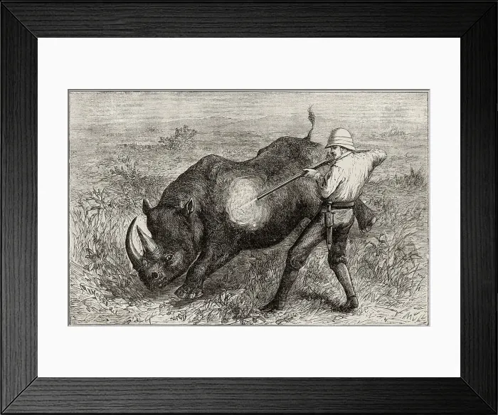 Framed Print : A close shot in the African veldt. Date: 1885 Framed Print : A close shot in the African veldt. Date: 1885