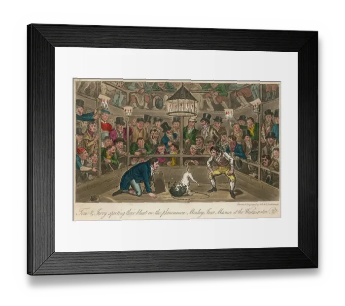Framed Print : ORGANISED DOG FIGHTING Framed Print : ORGANISED DOG FIGHTING
