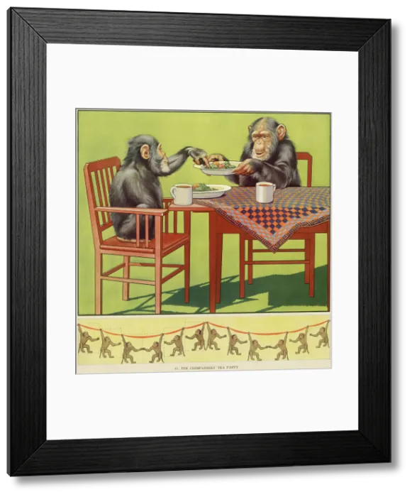 Framed Print : CHIMPS TEA PARTY - 1 Framed Print : CHIMPS TEA PARTY - 1