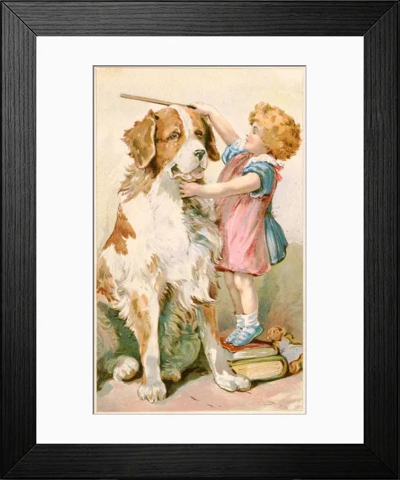 Framed Print : MEASURING ST BERNARD Framed Print : MEASURING ST BERNARD