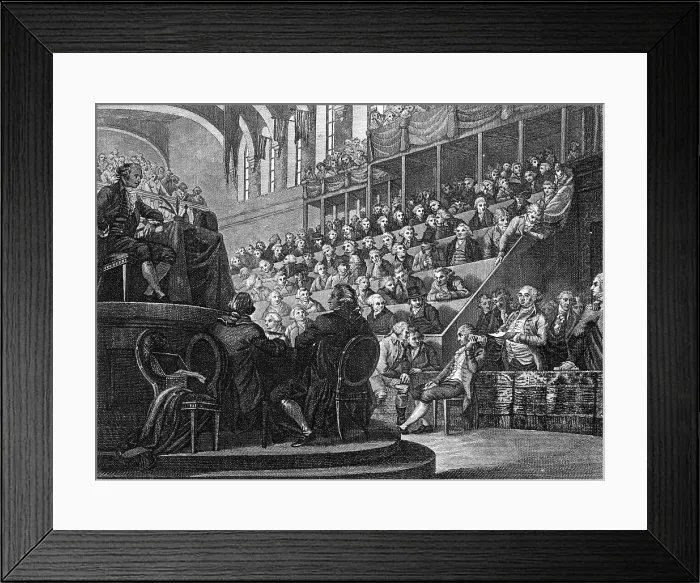Framed Print : LOUIS XVI ON TRIAL Framed Print : LOUIS XVI ON TRIAL